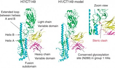 ncomms8708-f4-640x381