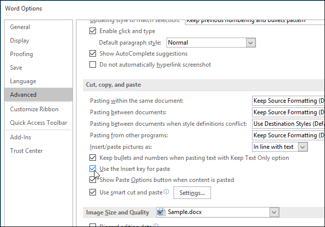 650x453x04_selecting_use_the_insert_key_for_paste.png.pagespeed.ic.4w5chsM_vU