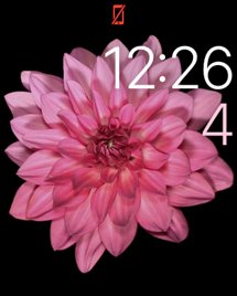 215x268x10_clock_face.png.pagespeed.gp+jp+jw+pj+js+rj+rp+rw+ri+cp+md.ic.Leu4PC_KlB