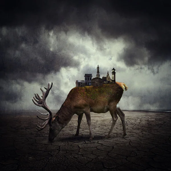 stag19g