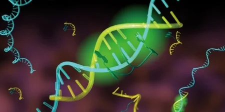 تولید مواد جدید از DNA - دیجینوی