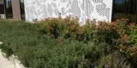 بررسی تخصصی گوشی هوشمند نوکیا ۳٫۱ - دیجینوی