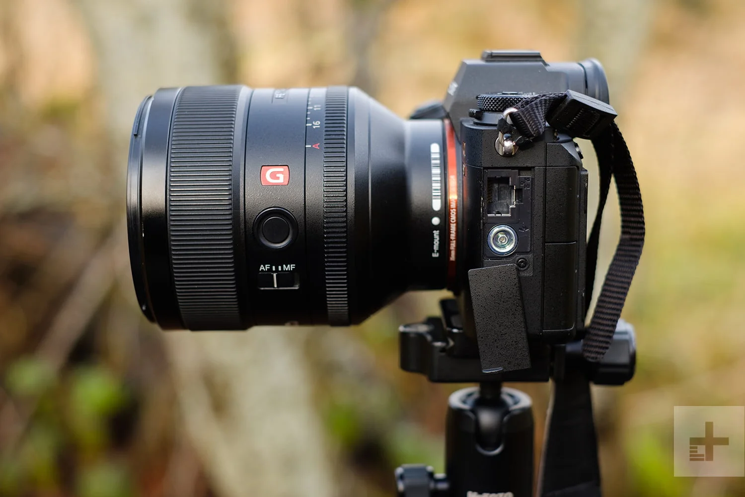 بررسی تخصصی دوربین Sony A9 - دیجینوی