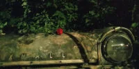 بررسی گوشی سونی اکسپریا ۱۰ مارک II - دیجینوی