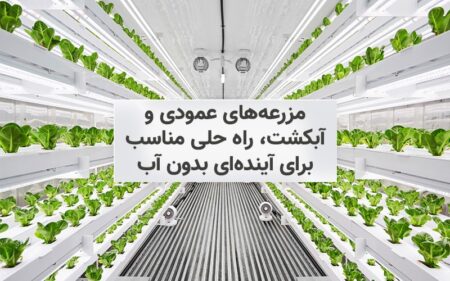 مزرعه‌های عمودی و آبکشت، راه حلی مناسب برای آینده‌ای بدون آب - دیجینوی