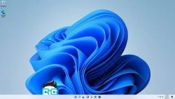 ویندوز 11