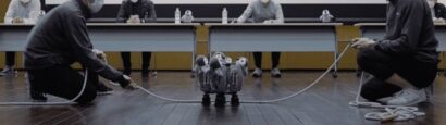 Penguin chan کتاب گینس