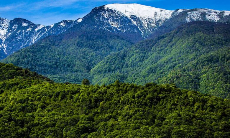 caspian-hyrcanian-mixed-forests-780x470-1 جنگل های هیرکانی ایران