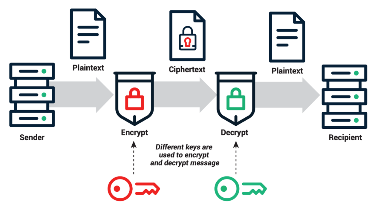 کلید عمومی (Public Key) چیست و چگونه کار می‌کند؟ - دیجینوی