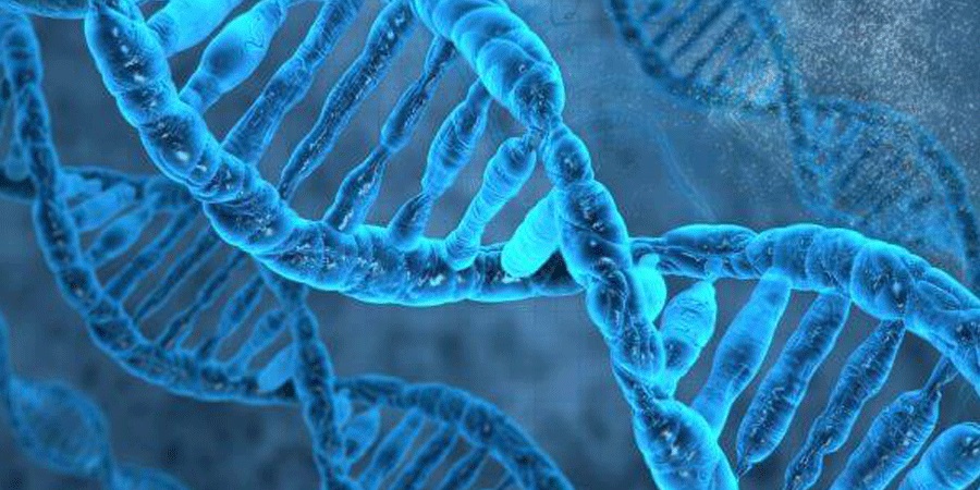 dna مخفف چیست — چرا باید dna را بشناسیم؟ - دیجینوی