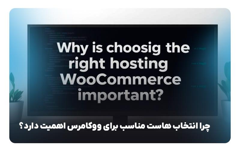 27ba44e7-95b8-4d17-929e-febf16d55627 انتخاب بهترین هاست برای ووکامرس - دیجینوی