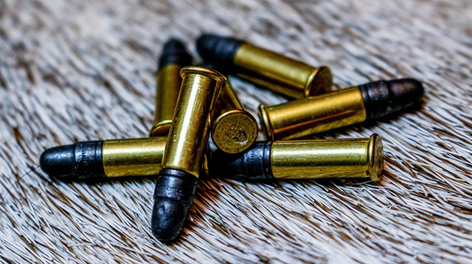 10-most-powerful-bullets-in-the-world10 گلوله قدرتمند
