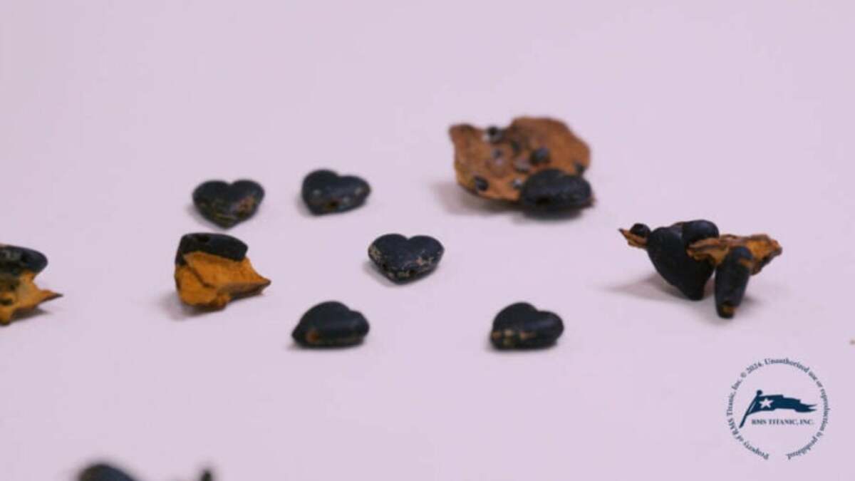 1000011896 گردنبند یکی از مسافران تایتانیک پس از سالها از میان بقایای کشتی پیدا شد - دیجینوی