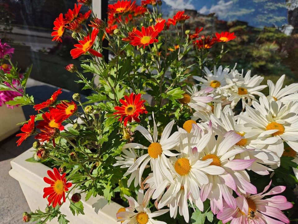 بررسی گوشی پوکو F8 پرو - دیجینوی