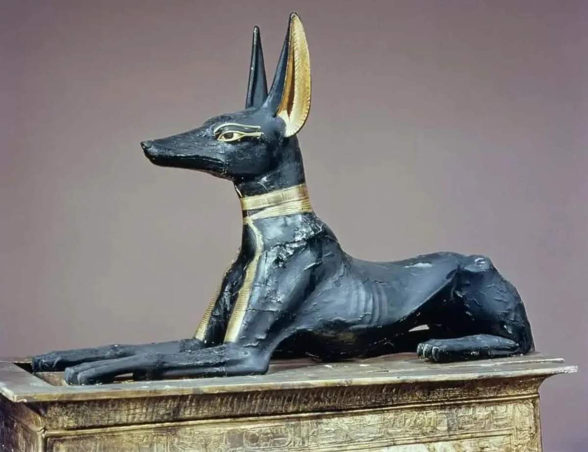 An Anubis shrine خدایان مرگ دنیای باستان؛ یک زیارتگاه آنوبیس