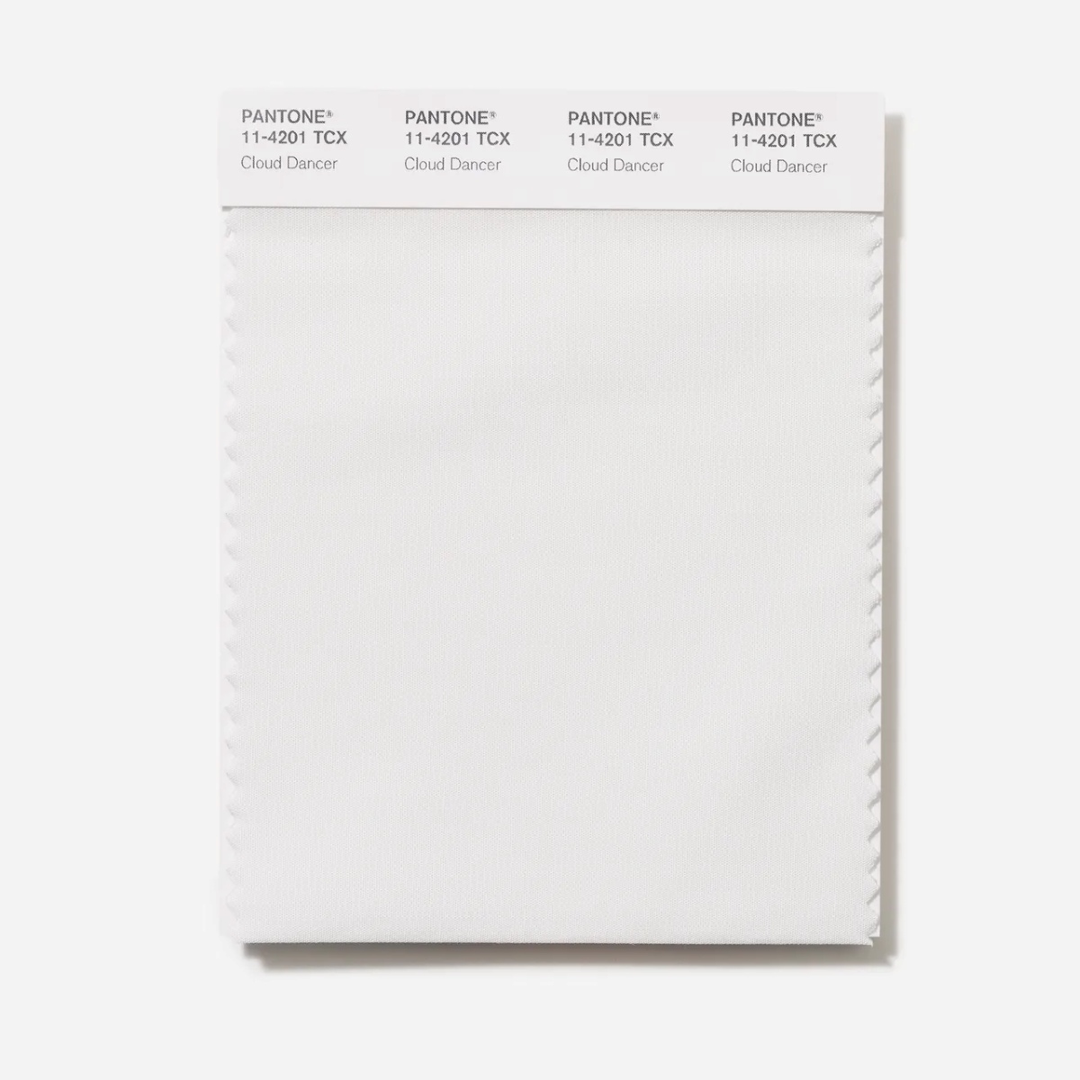 رنگ سال ۲۰۲۶ اعلام شد: «Cloud Dancer» سفید طبیعی با حال‌و‌هوای آرام‌بخش - دیجینوی