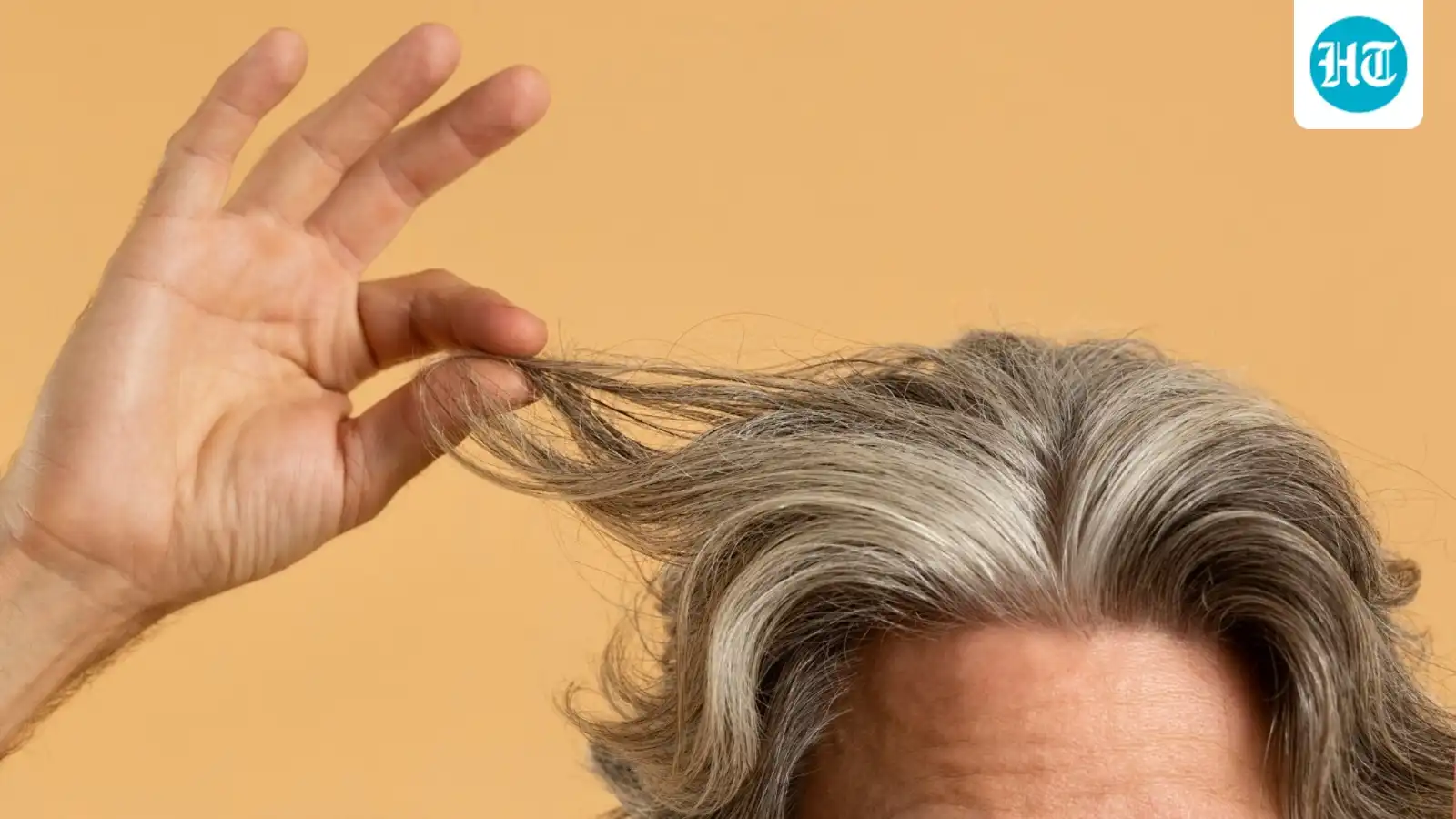 GRAYHAIR2 ارتباط موی خاکستری و سرطان