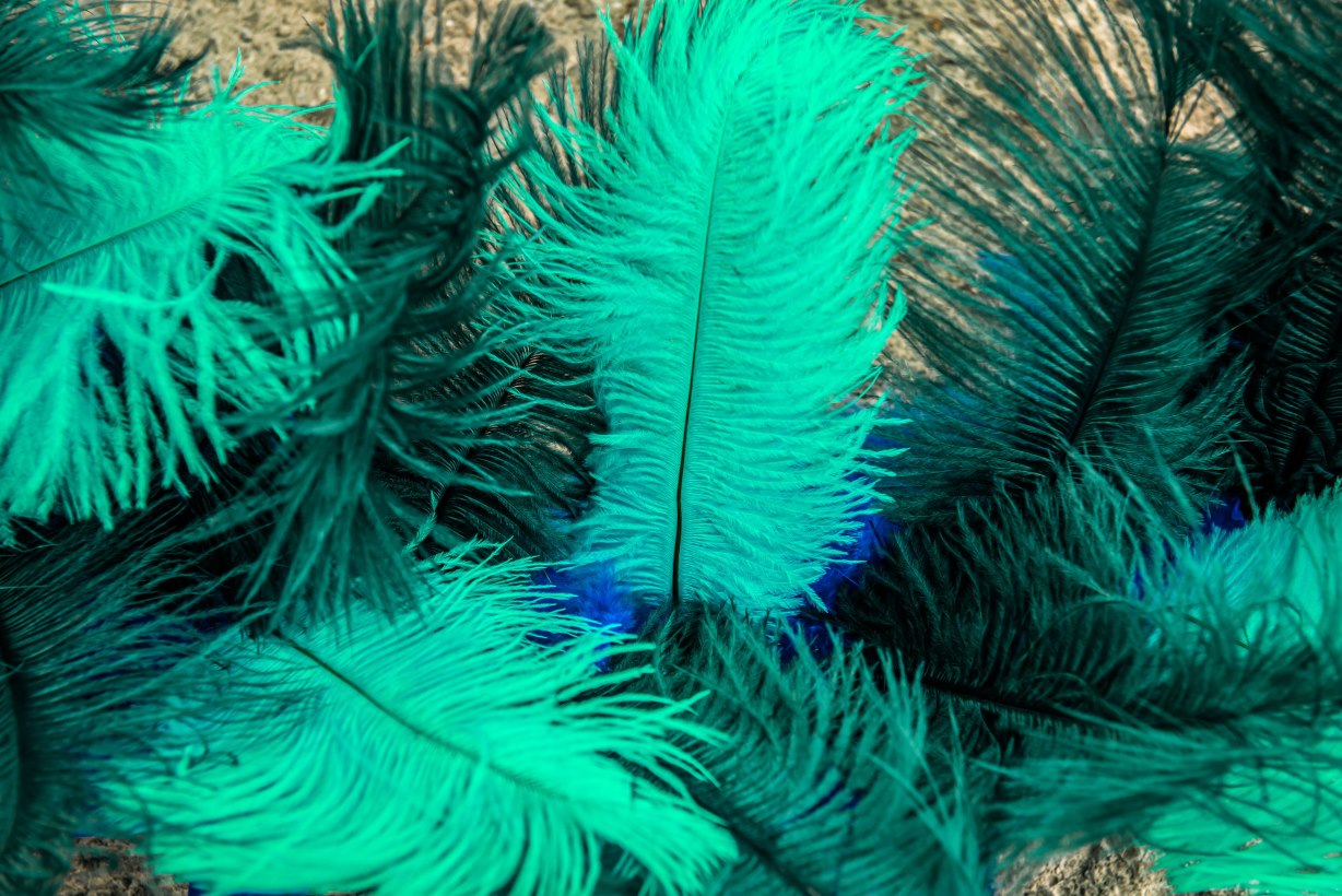 مردم در سال ۲۰۲۵ برای نخستین بار یک رنگ جدید را دیدند - دیجینوی