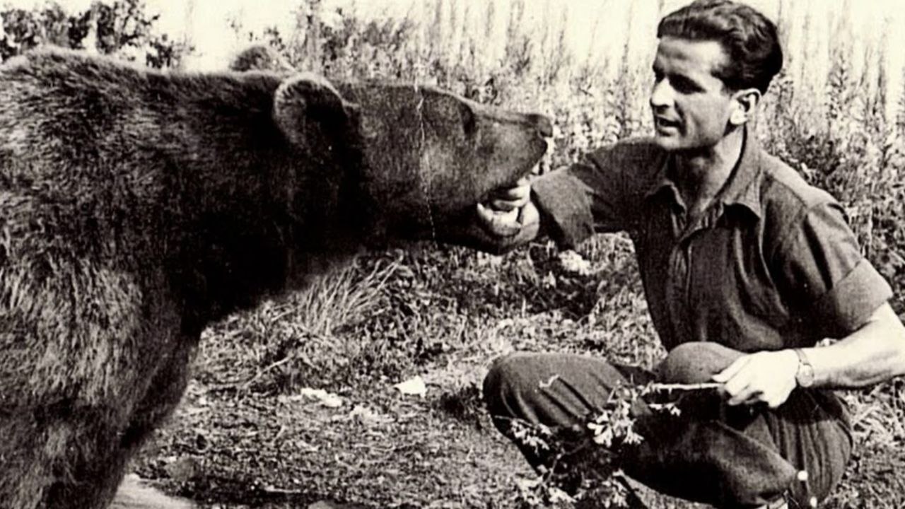 خرس ایرانی که به نماد ارتش لهستان در جنگ جهانی دوم تبدیل شد - دیجینوی