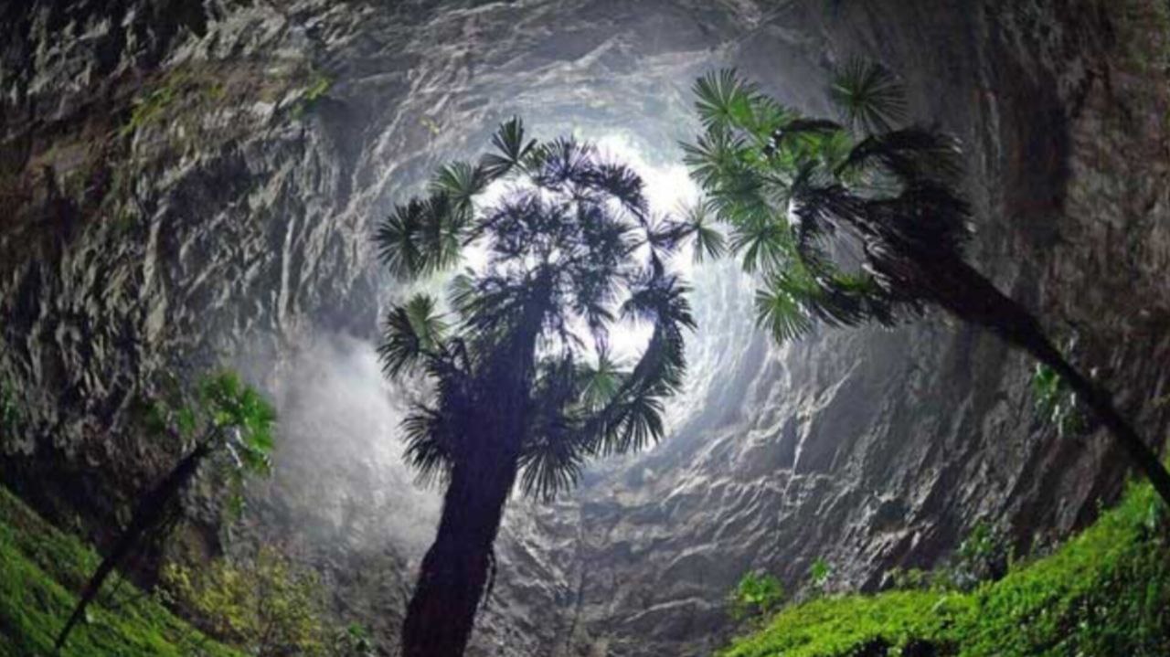 photo_5895471826928864077_y گودال بهشتی؛ بزرگترین چاله طبیعی جهان که شما را شگفتزده میکند - دیجینوی