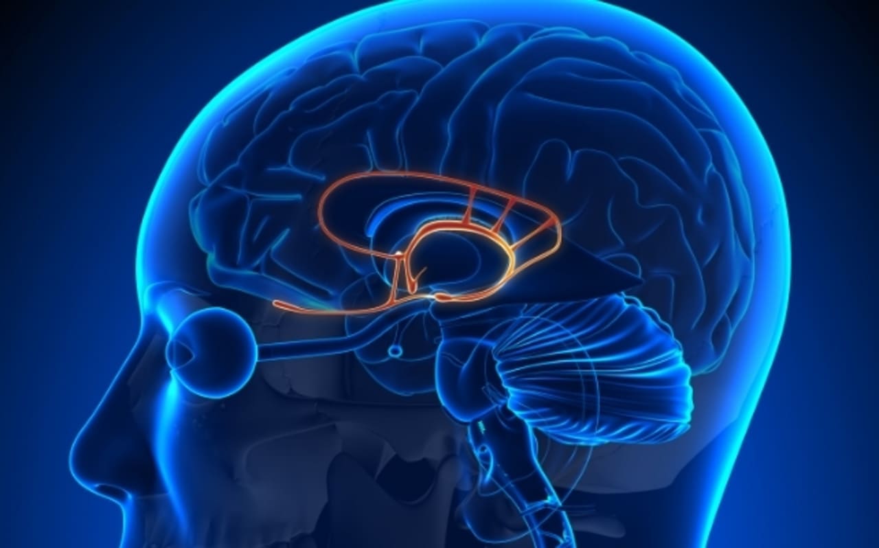 چرا فحش دادن برای سلامتی مفید است؟ - دیجینوی