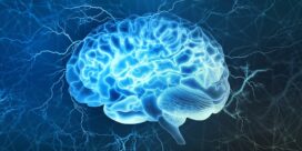 کاهش رتبه ایران در جدیدترین رتبه‌بندی IQ کشورها در سال ۲۰۲۵